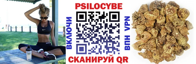 Псилоцибиновые грибы Psilocybine cubensis  Хасавюрт 